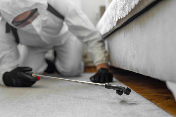 Professional Bed Bug Control technician working in Greensboro, AL