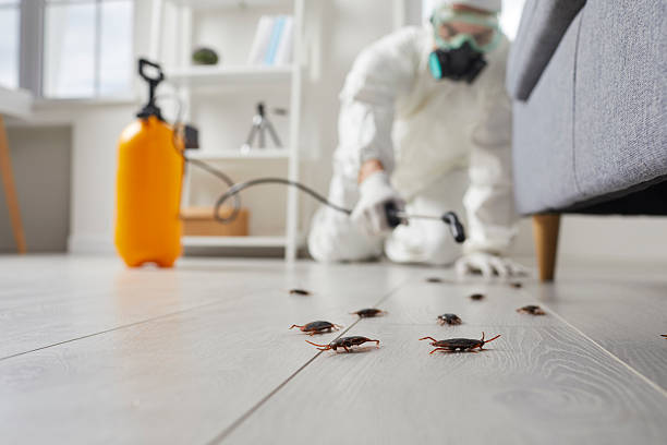 Trusted Cockroach Control service in Greensboro, AL - Nex Pest Control