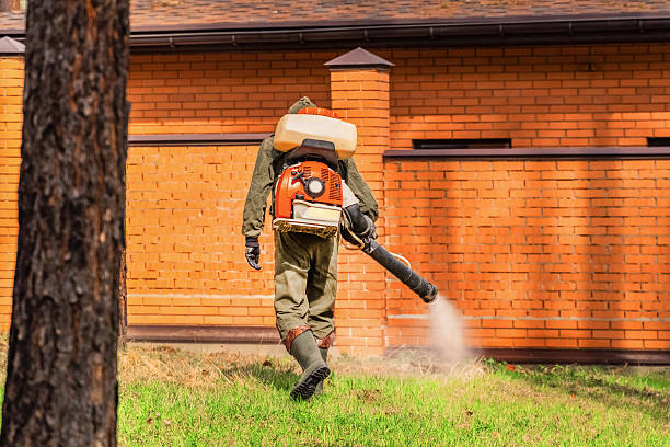 Trusted Mosquito Control service in Greensboro, AL - Nex Pest Control
